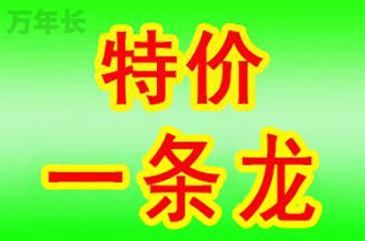 池州安徽省池州市贵池县公墓一览表及墓地价格 